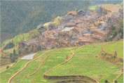 community_image3
